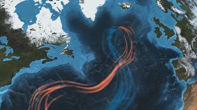 Ocean currents and Algal Bloom