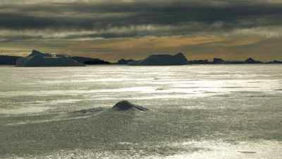 Icy landscape appears through the clouds