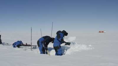 Digging in the snow