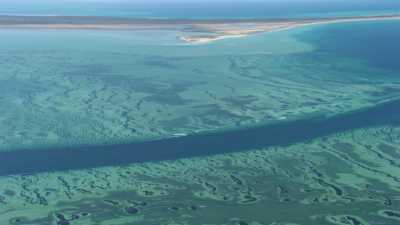 Wooramel Seagrass Bank along Shark Bay shore