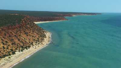 Wooramel Seagrass Bank along Shark Bay shore