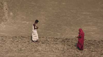 Seed and culture on sand