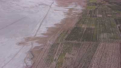 Flight over the Salar's shore, trees plantation