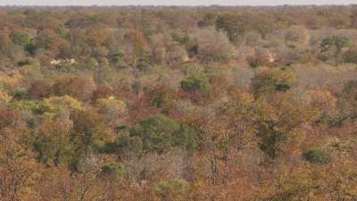 Okavango Delta