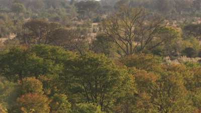 Okavango Delta