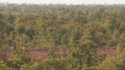 Okavango Delta