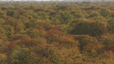 Okavango Delta