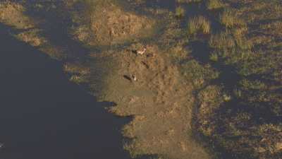 Okavango Delta