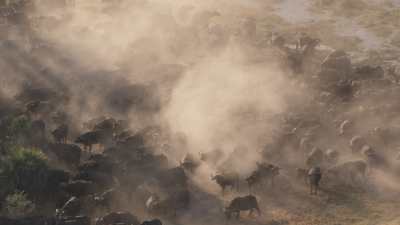 Okavango Delta