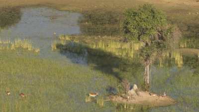 Okavango Delta