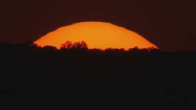 Sunset in Okavango delta