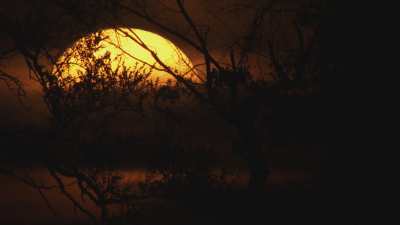 Sunset in Okavango delta