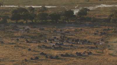 Okavango delta