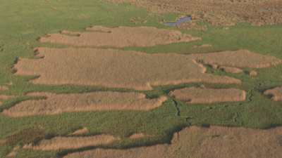 Okavango delta