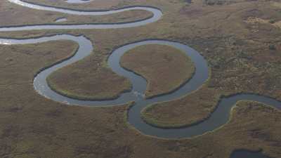 Okavango delta