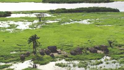 Houses on stilts on the islands along the Congo river