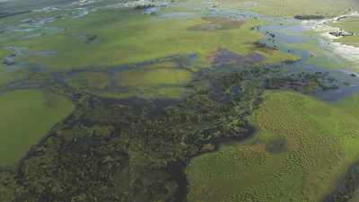 The swampy Likouala  River