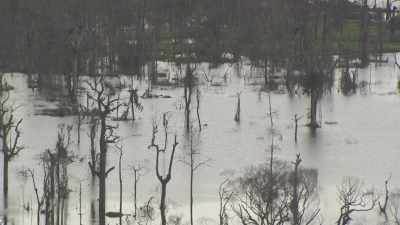 Imboulou lake dam's lake and trees in its waters