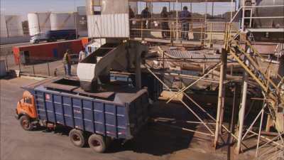 Loading sardines on trucks in the harbour