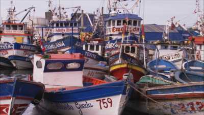 Fishing boats