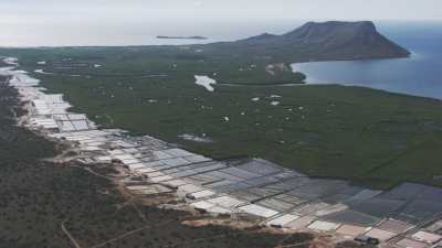 Salt ponds