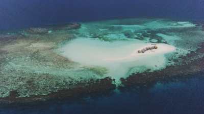 Coral shoreline