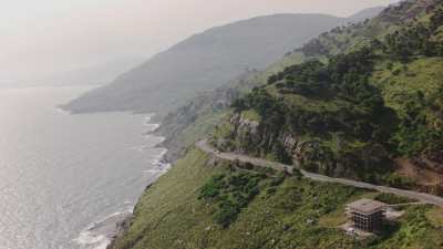 Road along the green coast