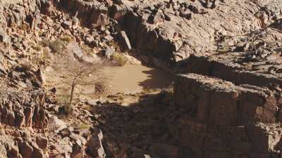 Oasisn cliffs and dunes