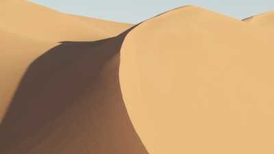 Soft shapes of Saharan dunes