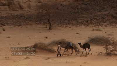 A man and his dromadaries in the rocky desert (Djanet region)