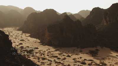 Group of dromadaries and their sheperd in the rocky desert (Djanet region)