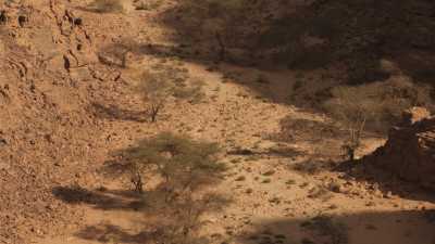 Rocky desert in Djanet region