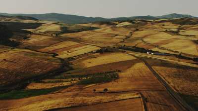 Countryside close to Guelma