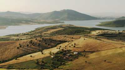 Countryside close to Guelma