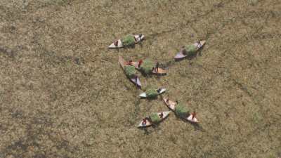 Herbs gatherers in fields, Burullus lake