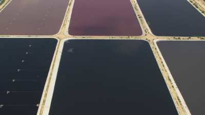 Salt ponds