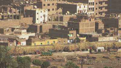 Farming in Egypt