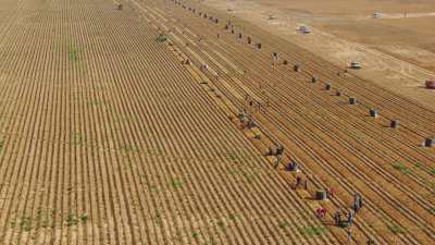 Farming in Egypt