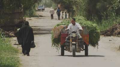 Farming in Egypt