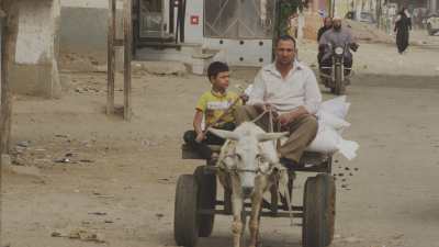 Farming in Egypt