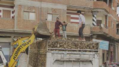 Farming in Egypt