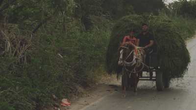 Farming in Egypt