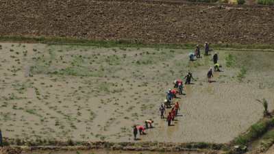 Farming in Egypt