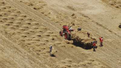 Farming in Egypt