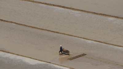 Farming in Egypt