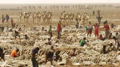 Tough salt extraction on Lake Assal