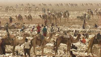 Tiresome salt extraction on Assal Lake