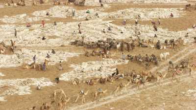 Tough salt extraction on Lake Assal