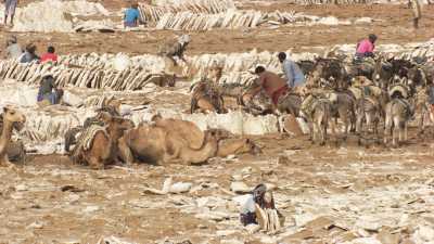 Tough salt extraction on Lake Assal