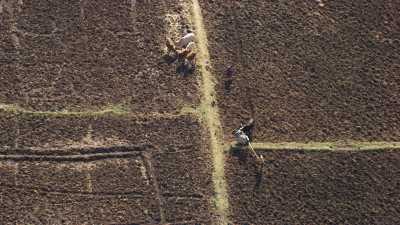 Lac Tana farmers, ploughshare and plough